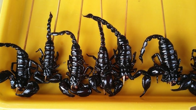 Escorpiones en la gastronomía exótica.